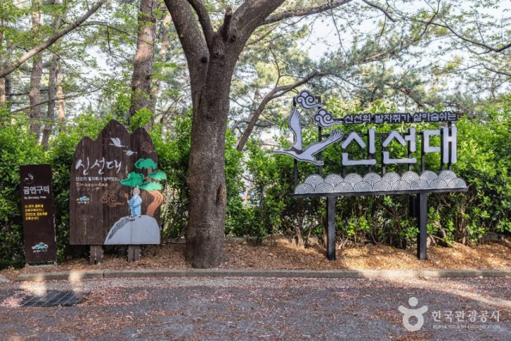 신선대(부산) 여행 추천 - 메고지고
