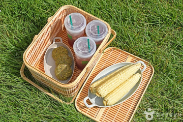평창 수항리사지 여행 추천 - 메고지고