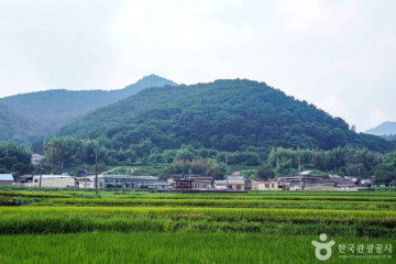 삼계마을 여행 추천 - 메고지고