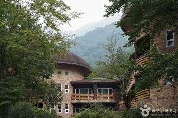 국립청도숲체원 여행 추천 - 메고지고