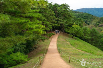 보덕사(영월) 여행 추천 - 메고지고