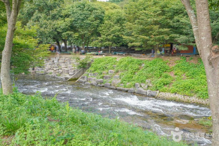동가리계곡 여행 추천 - 메고지고