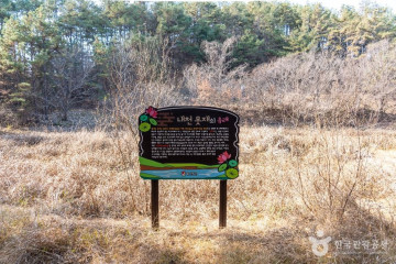 합천 옥전 고분군 여행 추천 - 메고지고