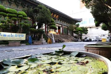 부산타워 여행 추천 - 메고지고