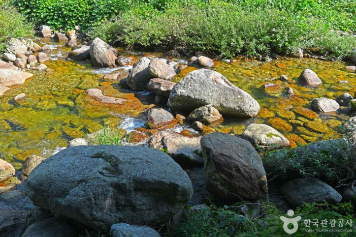 새밭계곡 여행 추천 - 메고지고