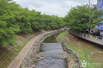 와우쥬본점 / 와우 쥬 여행 추천 - 메고지고