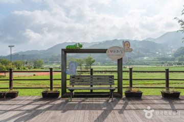 장동산림욕장 여행 추천 - 메고지고