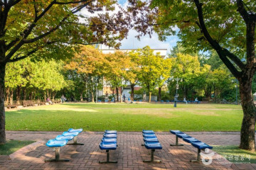 대명공연거리 여행 추천 - 메고지고