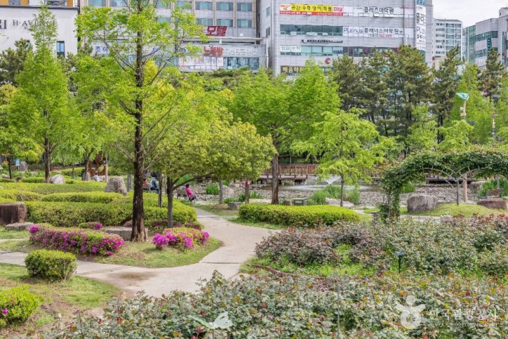 장미원 여행 추천 - 메고지고