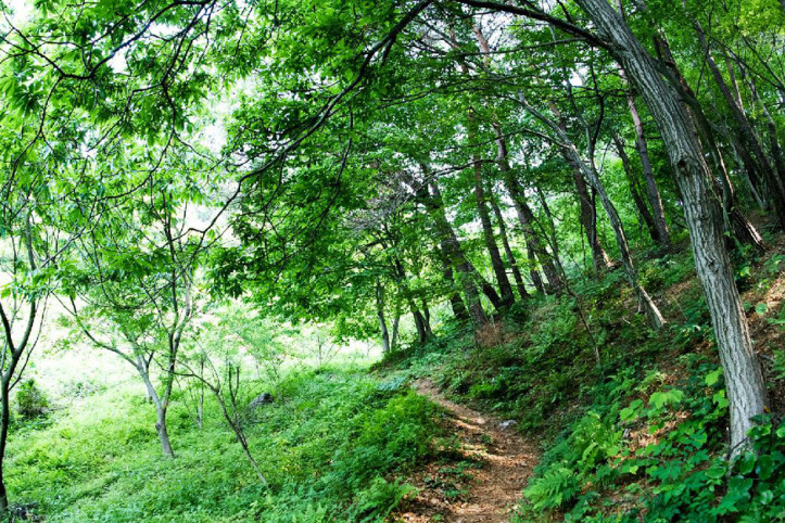 하존티마을 여행 추천 - 메고지고