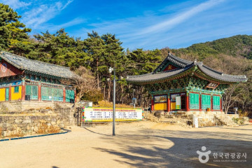 도림사(대구) 여행 추천 - 메고지고