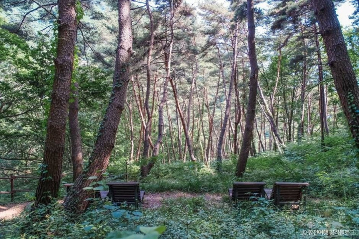 오도산자연휴양림 여행 추천 - 메고지고