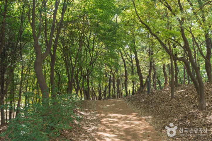 남선공원 여행 추천 - 메고지고