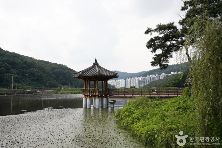 검성지생태공원 여행 추천 - 메고지고