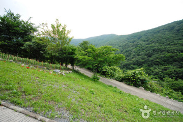 신불산군립공원 여행 추천 - 메고지고