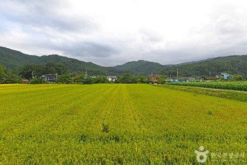 보광리분청자요지 여행 추천 - 메고지고