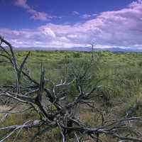 Hillebrand Steve / U.S. Fish and Wildlife Service · Wikimedia Commons · Public Domain / https://commons.wikimedia.org/wiki/File:Scenery_from_San_Bernardino_national_wildlife_refuge.jpg / Usage: 개별 Wikimedia Commons 파일 페이지에서 실제 장소·저작자·퍼블릭도메인 사용 조건 확인. 파일은 내려받지 않았으며 서버 등록 미실시.