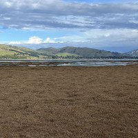 Photo: Mike Dickison · CC BY 4.0 · Wikimedia Commons / https://commons.wikimedia.org/wiki/File:Aramoana_Saltmarsh_MRD_01.jpg / Rights: https://commons.wikimedia.org/wiki/File:Aramoana_Saltmarsh_MRD_01.jpg / Usage: Wikimedia Commons 파일별 저작자·허가 표기 검토. CC BY 출처·저작자·변경 표시, CC BY-SA 개작 시 동일조건 준수. 원본 이미지 파일 HTTP GET/다운로드는 서버에서 점검해야 함.
