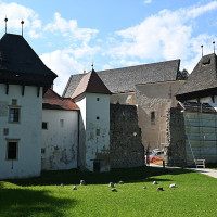 Miroslav.vajdic · Wikimedia Commons · CC BY 4.0 / https://commons.wikimedia.org/wiki/File:%C5%BDi%C4%8Dka_kartuzija.jpg / Usage: 상업적 재사용 가능 저작권 라이선스. 출처·저작자·라이선스 링크 필수; CC BY-SA 가공 시 동일조건, 크기조절·편집사항 표기. 시설·문화재 기타 권리 별도 확인. 문화재/미술품/건축 등의 기타 권리는 상업 공개 전에 별도 확인.