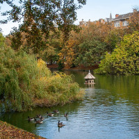 Photo: Szilas · CC BY 4.0 · Wikimedia Commons / https://commons.wikimedia.org/wiki/File:2009-10-09_Ixelles_09.jpg / Rights: https://commons.wikimedia.org/wiki/File:2009-10-09_Ixelles_09.jpg / Usage: Commons 개별 파일 설명에서 실제 장소·저작자·정확한 라이선스 확인. 상업 이용 시 표기·원본 및 라이선스 링크·사진을 변경한 경우 변경 표시 필요. 실제 파일 HTTP/MIME 다운로드는 이 작업에서 미시험.