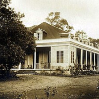 Extinct Mauritius · Public Domain · Wikimedia Commons / https://commons.wikimedia.org/wiki/File:Eureka%2C_1890.jpg / Usage: 실제 Wikimedia Commons 개별 파일 페이지에서 사진 주제·저작자·라이선스 확인. 출처·저작자·라이선스 표기 유지, 수정 시 변경사항 표시, SA 라이선스는 동등조건 준수. 관리자 관리자 서버에서 실제 파일 응답 및 다운로드 성공 여부 미검증.