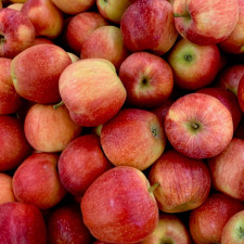 국내산 상품 A급 사과 10kg내외 대과 41-50과