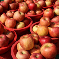 국내산 상품 A급 사과 7kg내외 대과 28-36과