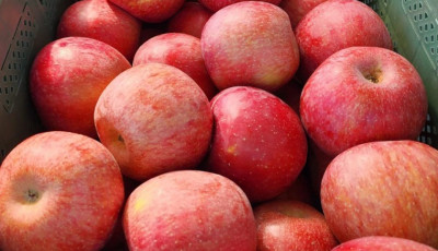 국내산 상품 A급 사과 대과 2kg내외 8-9과