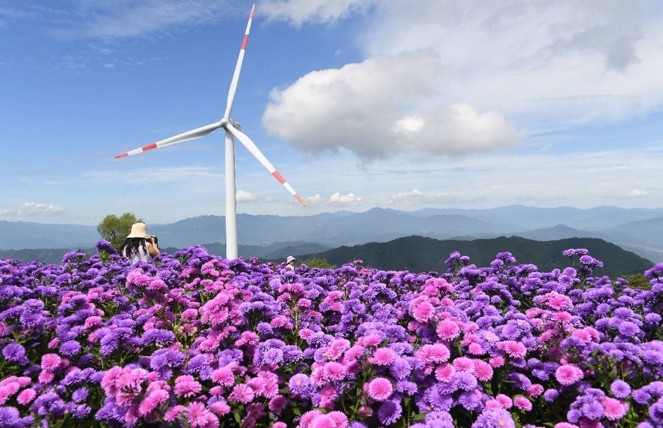 감악산 꽃별 여행