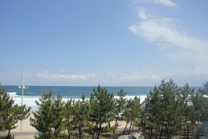 강릉비치비어페스티벌