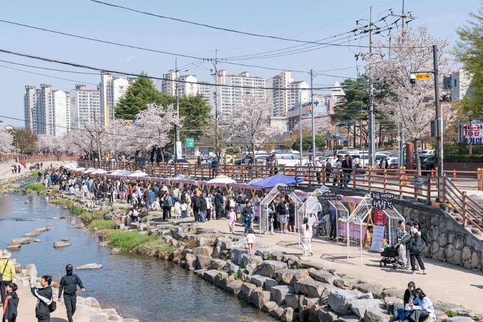 구미 청춘, 금오천 벚꽃 페스티벌
