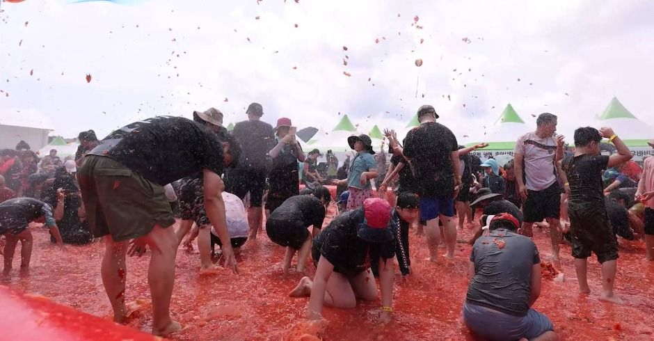 둔내고랭지토마토축제