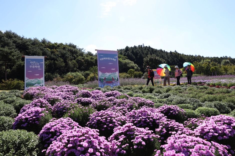 백두대간 봉자페스티벌