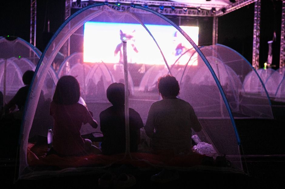 세종 조치원 복숭아 축제