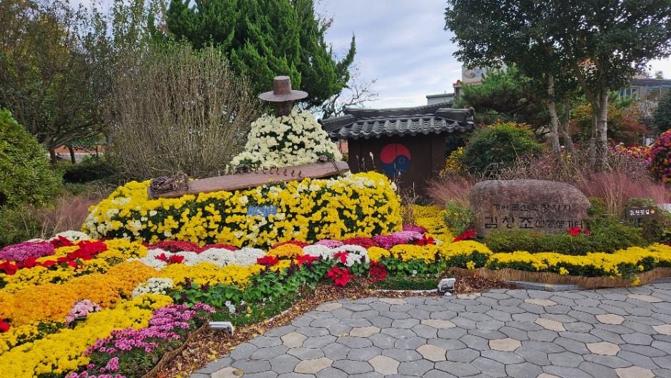 월출산 국화축제