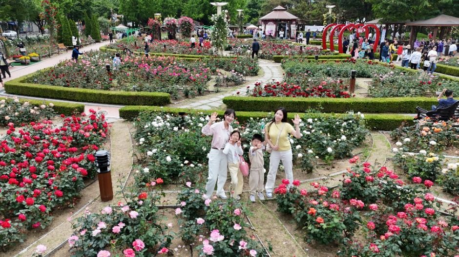 장미꽃 필(Feel) 무렵