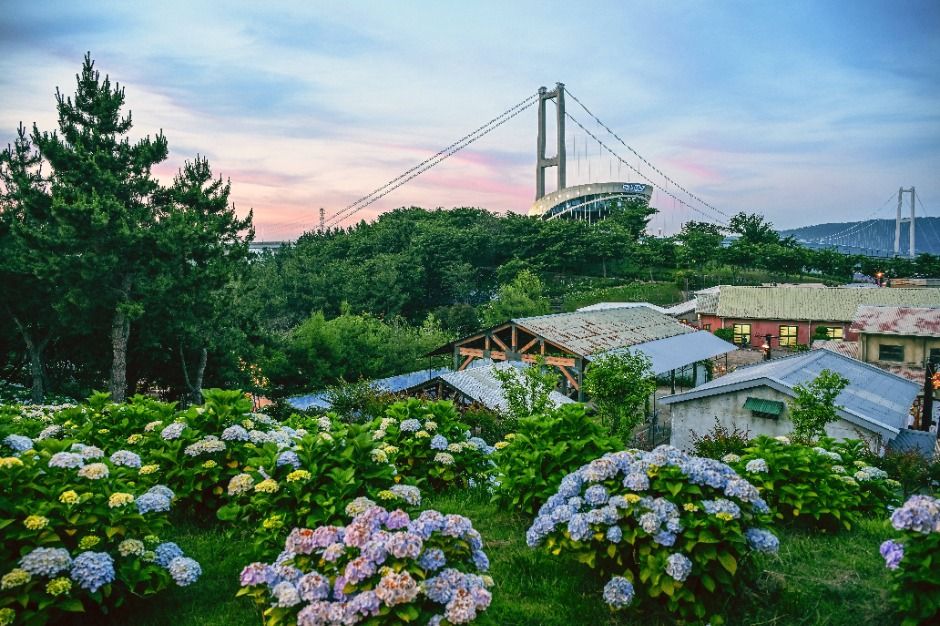 장생포 수국 페스티벌