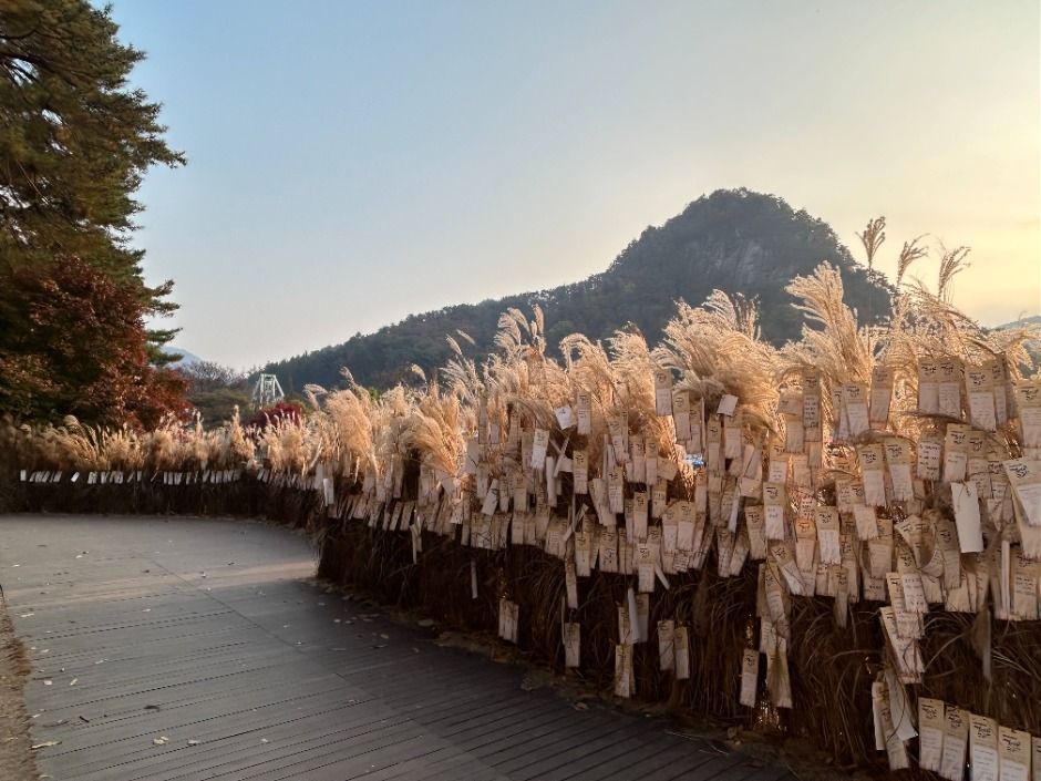 포천 산정호수 명성산 억새꽃축제