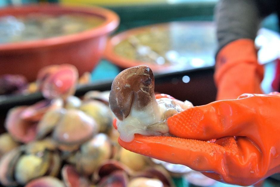 홍성남당항 새조개와 함께하는 수산물 축제