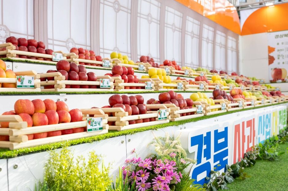 2025 경북사과홍보행사