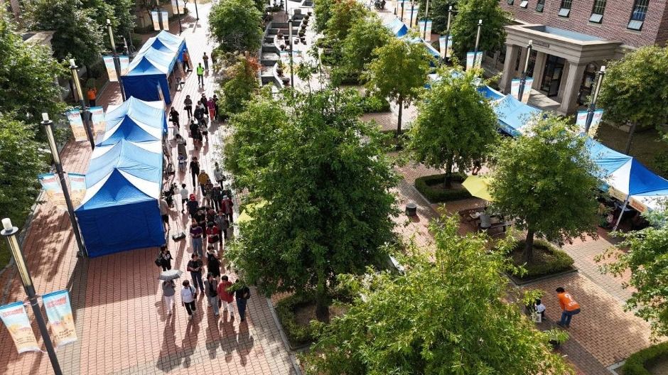 WOW 다놀자! 양평페스타